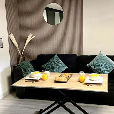 Appartement Jolie Et Agreable Proche Des Plages Et De L Espagne Perpignan